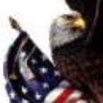 Profile picture of Steve Noel